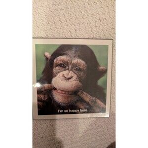 Pigment Animal Antics Picture